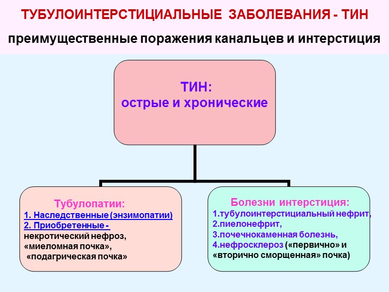 ТУБУЛОИНТЕРСТИЦИАЛЬНЫЕ  ЗАБОЛЕВАНИЯ - ТИН преимущественные поражения канальцев и интерстиция